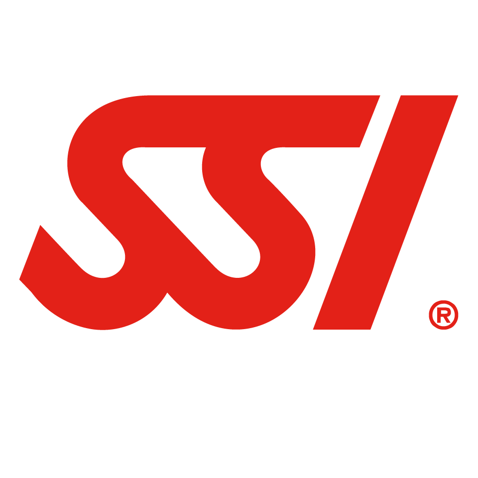 SSI
